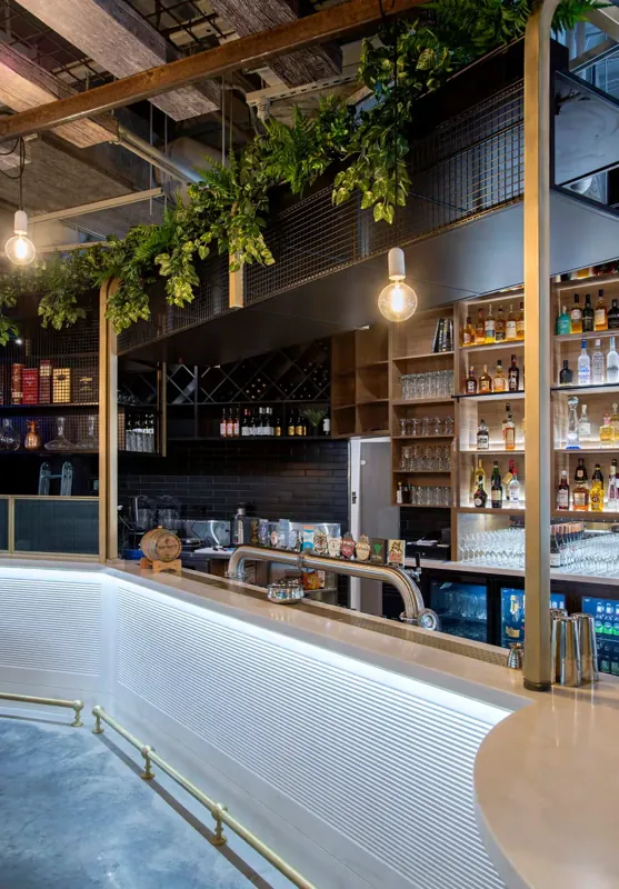 Bar z podświetlanym frontem lady i zielenią pod sufitem