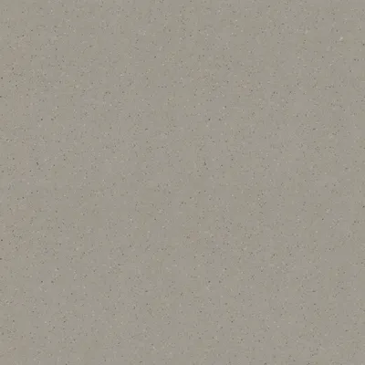 Tekstura Grandex D-309 Mushroom Soup