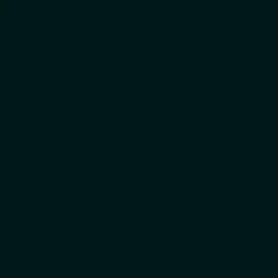 Tekstura Grandex P-105 Pure Black