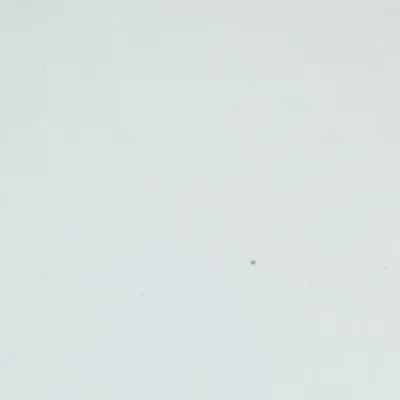 Tekstura Placor 110A Ultra White