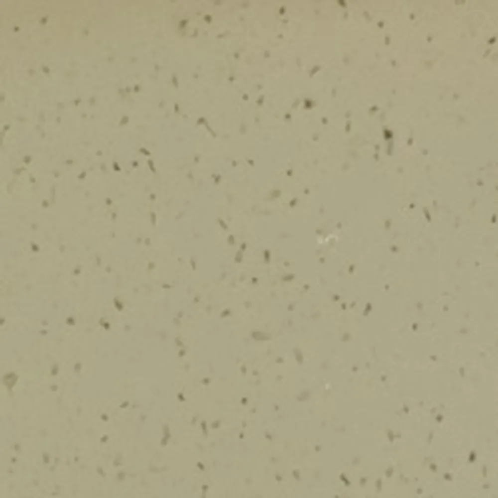 Tekstura Placor 700B Grey Sand