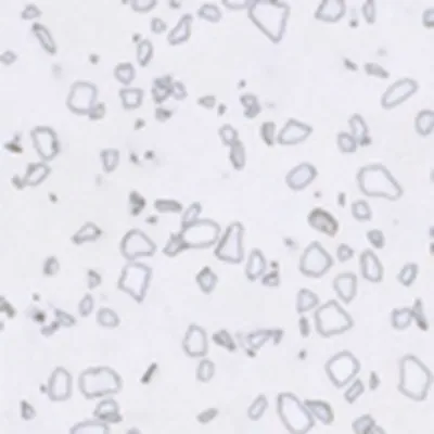 Tekstura Staron QD212 Mosaic Dalmatian